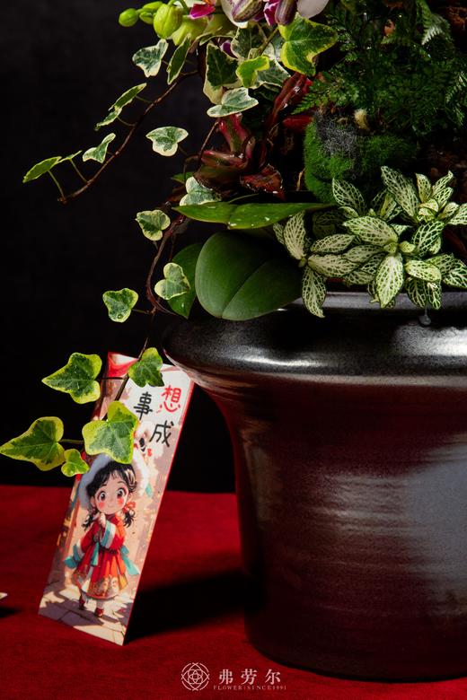 以蛇为贵 商品图4