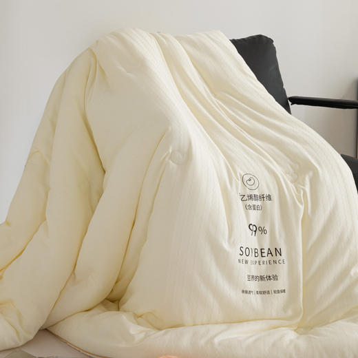 【高品质】秋冬A类提花99%大豆被 抑菌提花大豆蛋白纤维冬被 商品图6