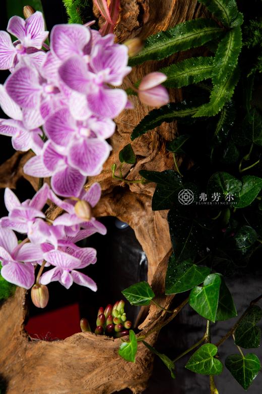 与蛇俱进 商品图5