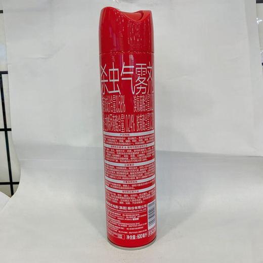 彩虹杀虫气雾剂（无味）5228600ml【20057961】 商品图1