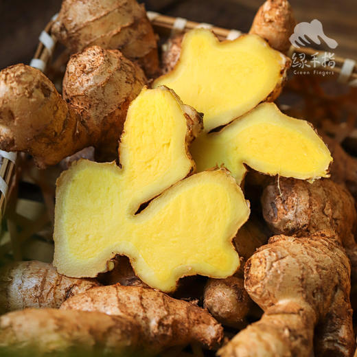 生态大黄姜（老姜）| 合作生产* Ecological rhubarb ginger | Partner Production 商品图2