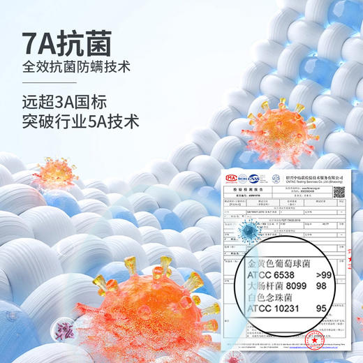 皇家丽美保暖内衣半高领上衣蓄热锁温保暖内衣BMT004 商品图3