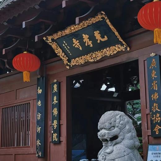 3.5-3.8，韶关修心之旅，参访南华、云门、光孝三寺，听两位艺术家分享“禅与美” 商品图1