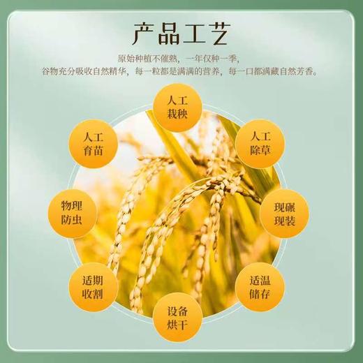 海伦长发四稻花香米5kg 商品图2