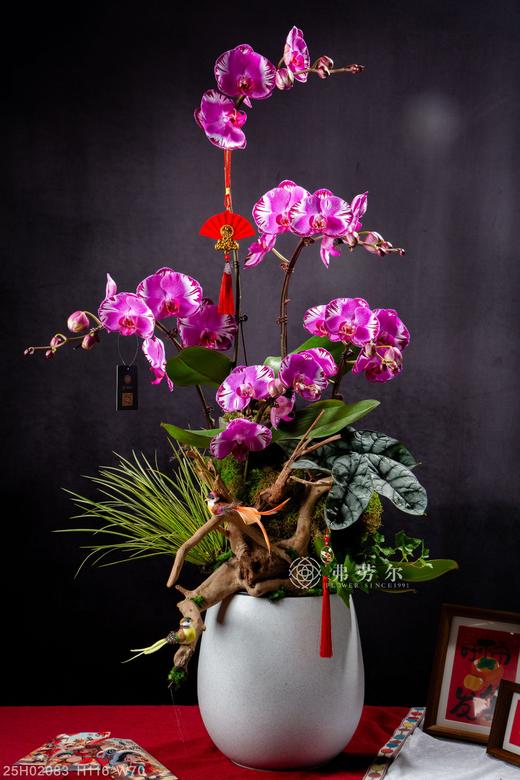 蛇身取亿 商品图0