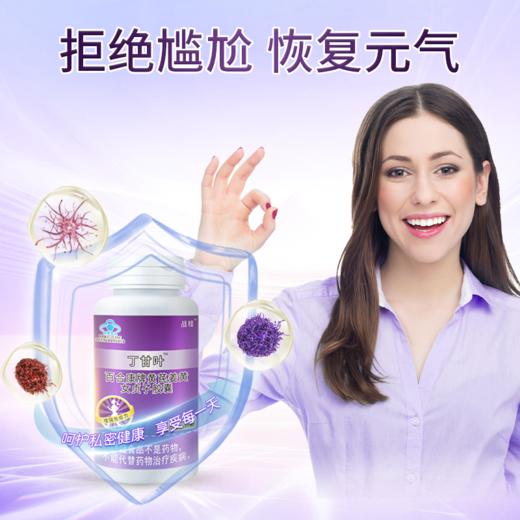 丁甘叶 战桂丁甘叶旗舰店 黄芪提取物官方正品 丁甘叶胶囊 商品图3