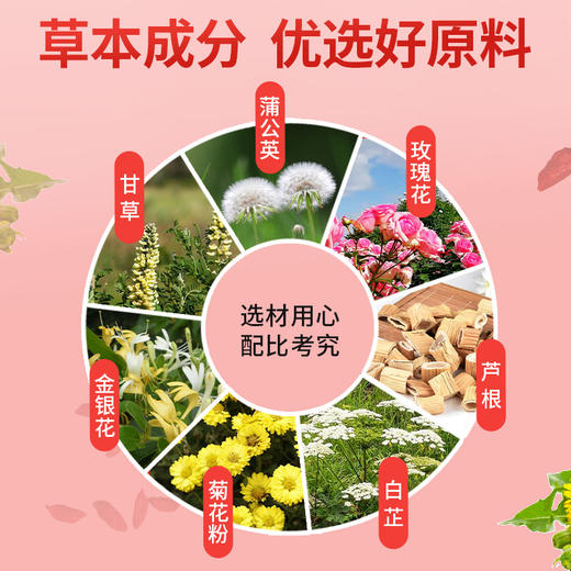 松丁双英 金甘双 金甘双和松丁双英仰甘元旗舰店官方正品 商品图2