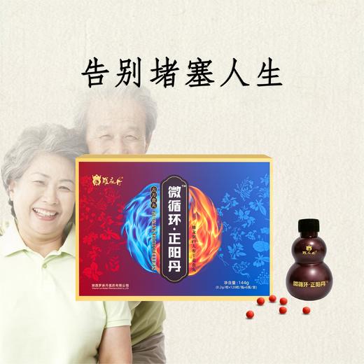 微循环正阳丹 商品图1