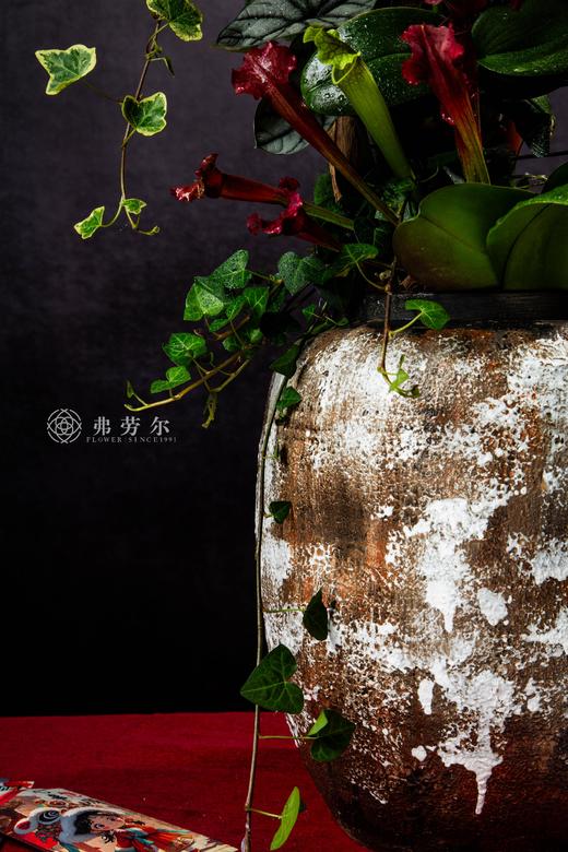 白蛇接财 商品图5