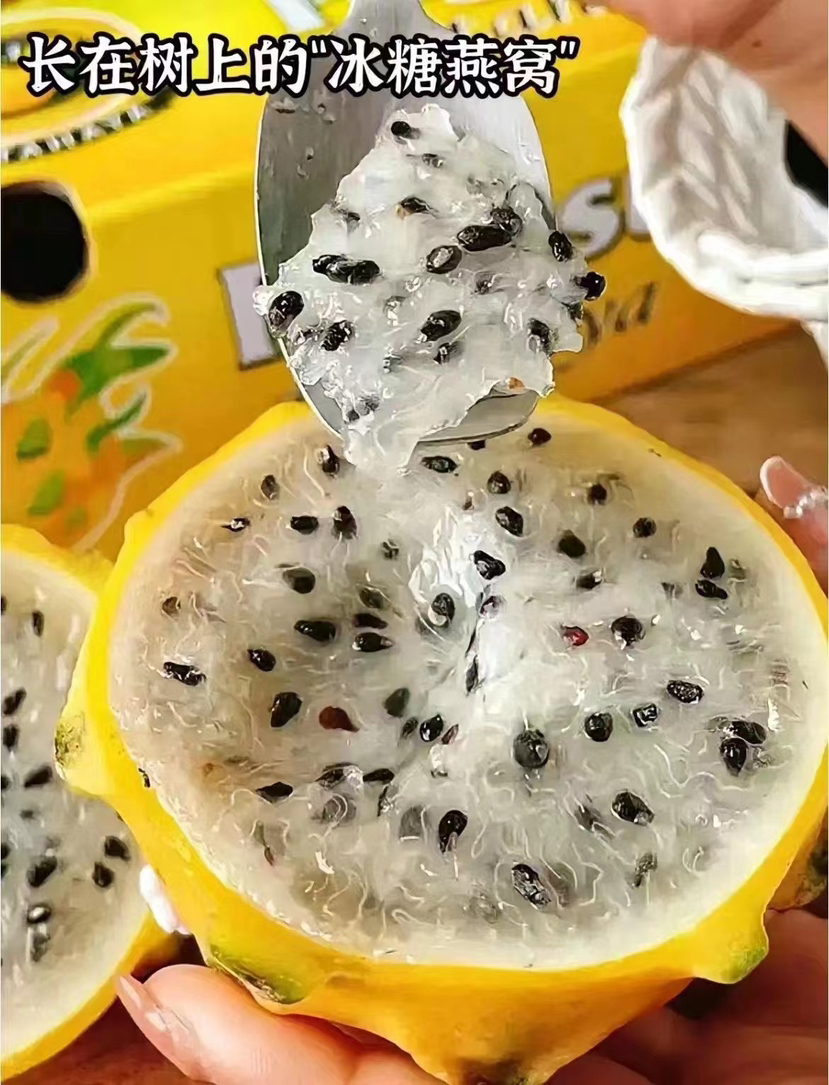 海南树熟燕窝果