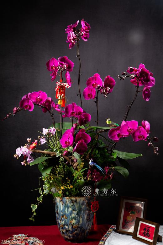 绘蛇添彩 商品图0