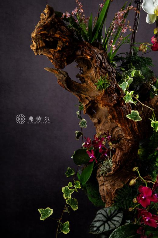 白蛇接财 商品图2