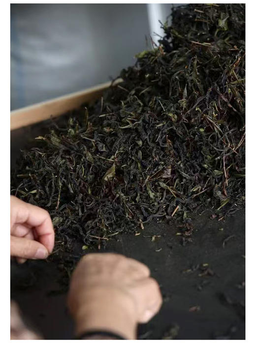 竹窠肉桂 荔枝木碳焙 商品图10