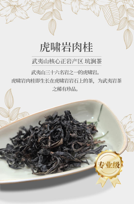 虎啸岩肉桂 荔枝木碳焙 商品图1