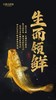【分销】北麂野生大黄鱼，肉质鲜香嫩滑，体型修长，色泽金黄，养殖基地远离海岸线50海里，水质清澈 商品缩略图3