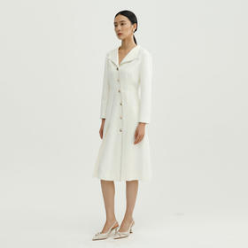 戴布拉芬连衣裙L28A511