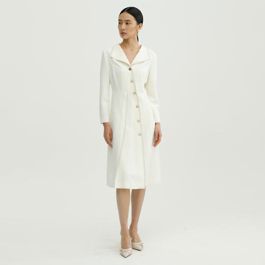 戴布拉芬连衣裙L28A511 商品图1