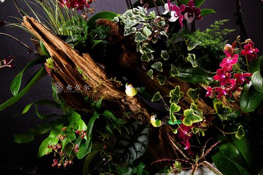 蛇行大运 商品图2