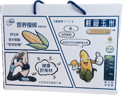 海伦长发鲜食玉米10根装 商品图0