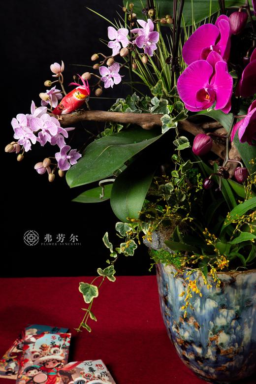 绘蛇添彩 商品图1