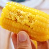 海伦长发鲜食玉米10根装 商品缩略图2
