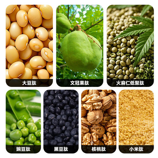 全食物日记 文冠果复合多肽蛋白固体饮料 商品图1