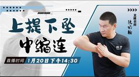 【1月20日 】上提下坠，中缩连