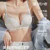 小胸聚拢显大透气内衣女上托防下垂收副乳调整型法式蕾丝性感文胸2025新款小红书爆款 商品缩略图3