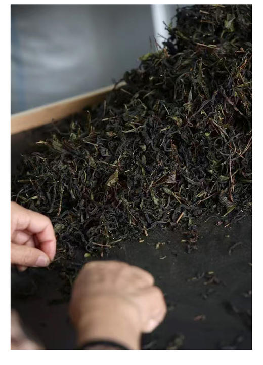 虎啸岩肉桂 荔枝木碳焙 商品图9