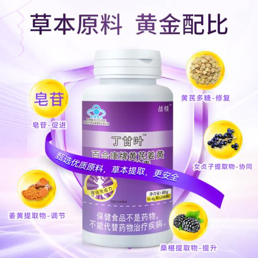 丁甘叶 战桂丁甘叶旗舰店 黄芪提取物官方正品 丁甘叶胶囊 商品图2