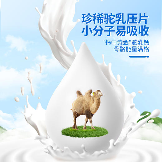 【贺坤堂贝尔英长素】贝尔英长素倍儿营长苏贝尔英倍儿英贝尔英长 商品图4