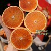 【细嫩多汁】李小橙玫瑰血橙·自带玫瑰香 商品缩略图0