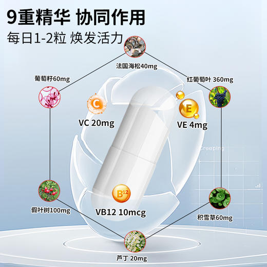 UQB脉曲矿维胶囊 商品图2