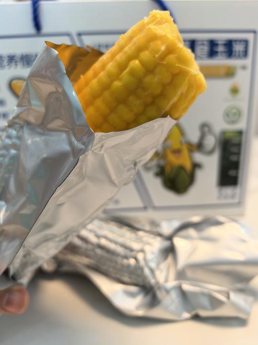 海伦长发鲜食玉米10根装 商品图7