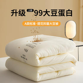 【高品质】秋冬A类提花99%大豆被 抑菌提花大豆蛋白纤维冬被