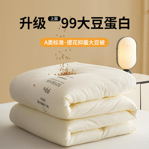 【高品质】秋冬A类提花99%大豆被 抑菌提花大豆蛋白纤维冬被 商品图0