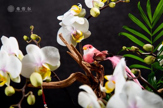 神气蛇足 商品图3