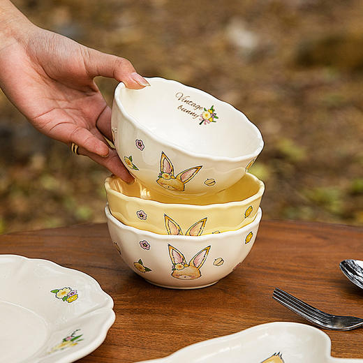 摩登主妇赫拉兔餐具套装碗碟盘乔迁新居新婚结婚闺蜜生日礼物女生 商品图1