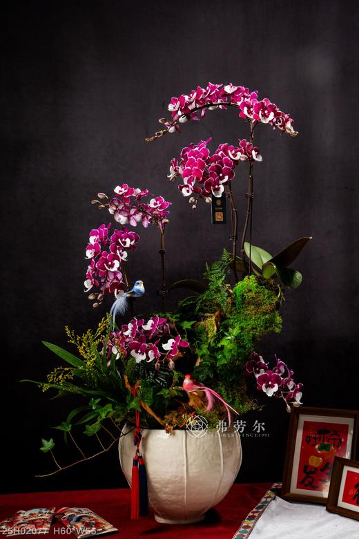 蛇蛇如意 商品图0