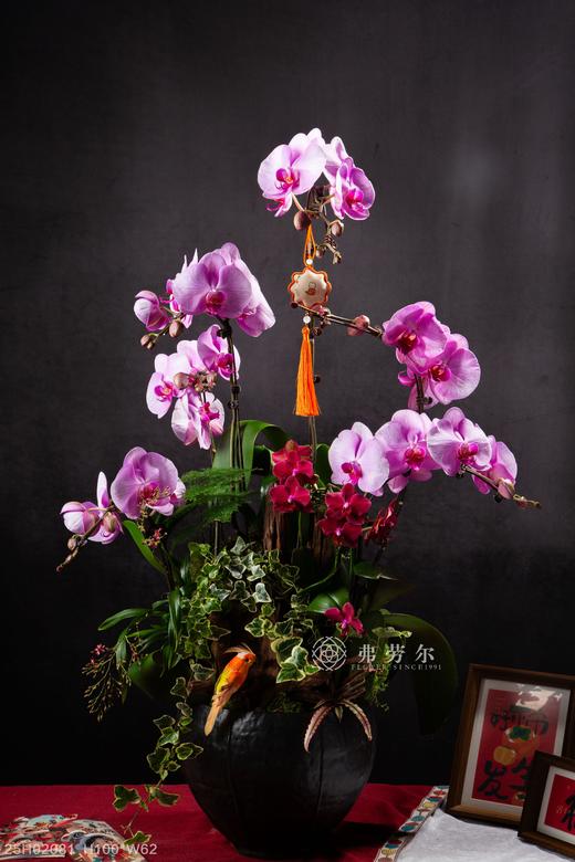 福绕蛇年 商品图0