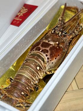 【发货+20元】丨团购·年货集·古巴龙虾 约4斤/只丨下单后排单发货