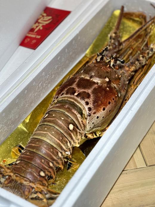 【发货+20元】丨团购·年货集·古巴龙虾 约4斤/只丨下单后排单发货 商品图0