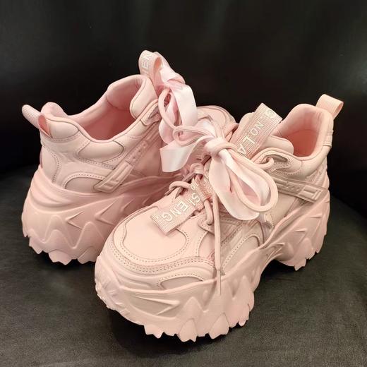 LFGJ凌介女鞋  17913  时尚百搭老爹鞋 商品图2