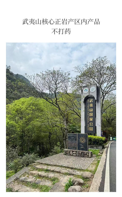 竹窠肉桂 荔枝木碳焙 商品图6