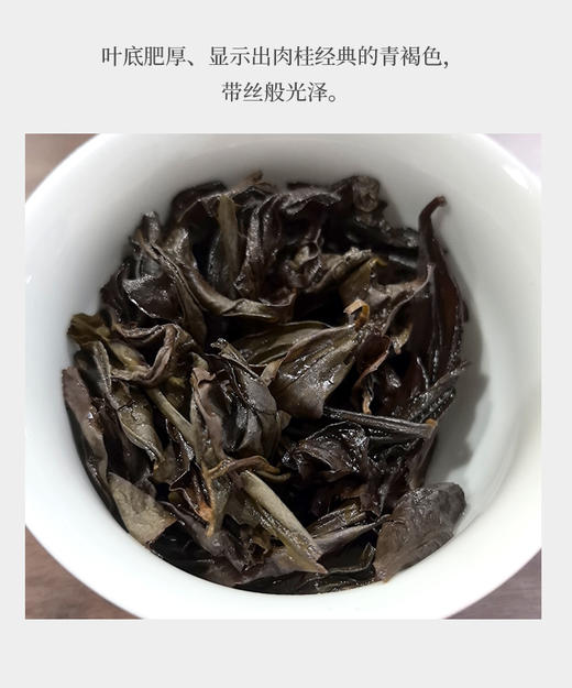 竹窠肉桂 荔枝木碳焙 商品图5