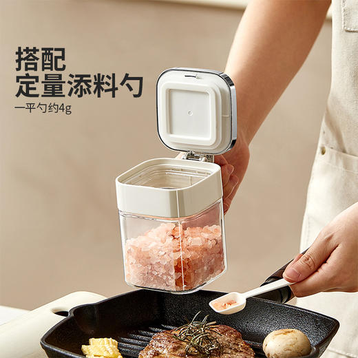 摩登主妇调料罐家用厨房高端密封收纳盒分装瓶味精盐罐调味调料盒 商品图3