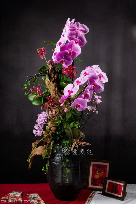 与蛇俱进 商品图1