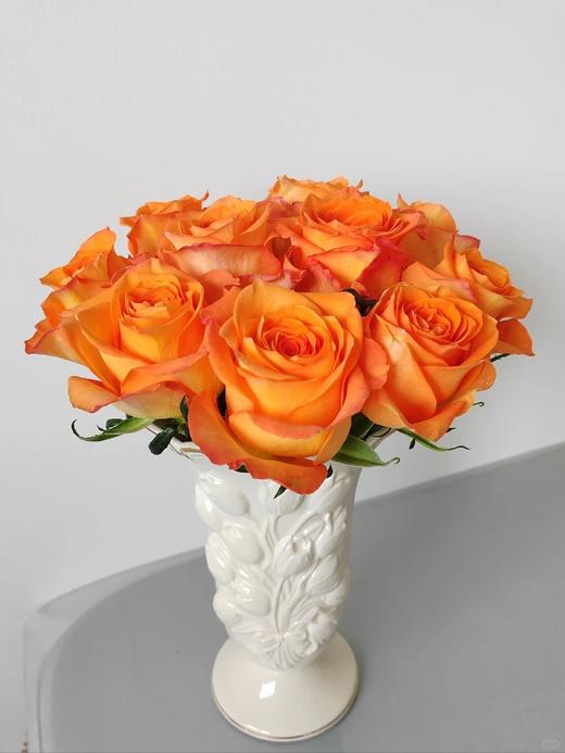 国产单头玫瑰花国王日10支 商品图1