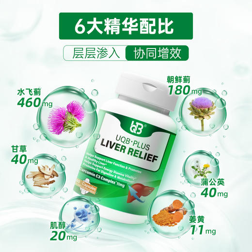 跨境进口|UQB肝宝胶囊正品官方姜黄水飞蓟护肝喝酒熬夜加班常备 商品图1