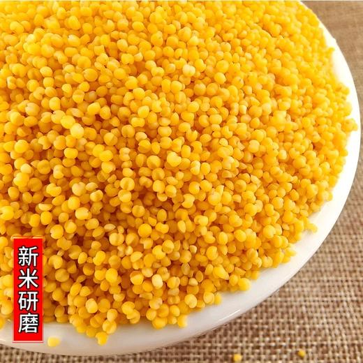 富硒小米锄禾丰2025新小米内蒙古小米富含硒元素香糯粘稠2000g真空包装精美礼盒 商品图2